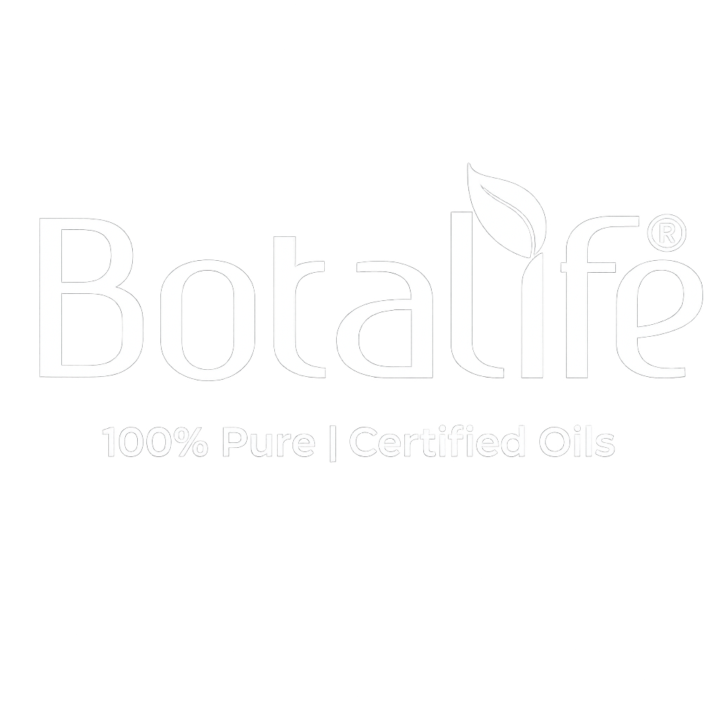 SEOexpert.bg | Store builds | AI SEO and GEO | Fast Migrations | AI assistants setup